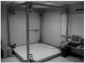 MACARM (Courtesy of IEEE 2005)