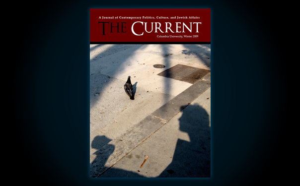 Issue 15