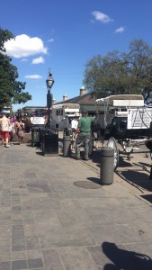 Jackson Square- carriages