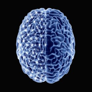 beautiful_brain_01