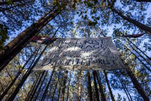 One of several large banners that greet visitors to “The Living Room” in Intrenchment Creek Park. It reads, "No Forest. No Peace. #StopCopCity #NoHollyWoodDystopia Defend ATL Forest" 