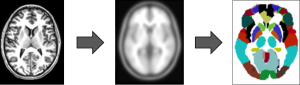 image from Joel et al