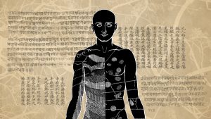 neuroscience-in-the-body