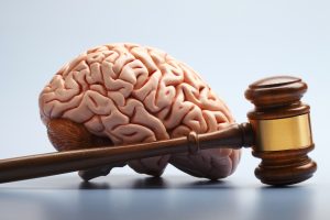 A gavel rests in front of a model of a human brain. 