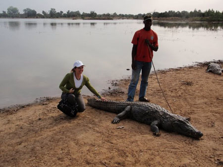 crocodile-derya