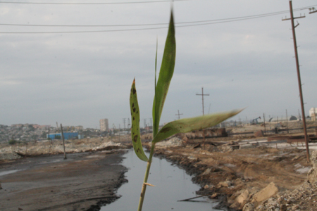 the-waste-land
