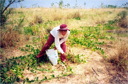 farming_small