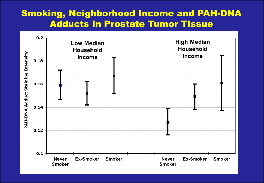 Census tracts were divided into low and high household income groups based on the median of the tract Median Household Income. PAH-DNA adducts were measured in prostate tissue using immunohistochemistry and the results of the assay are reported in Optical Density units.