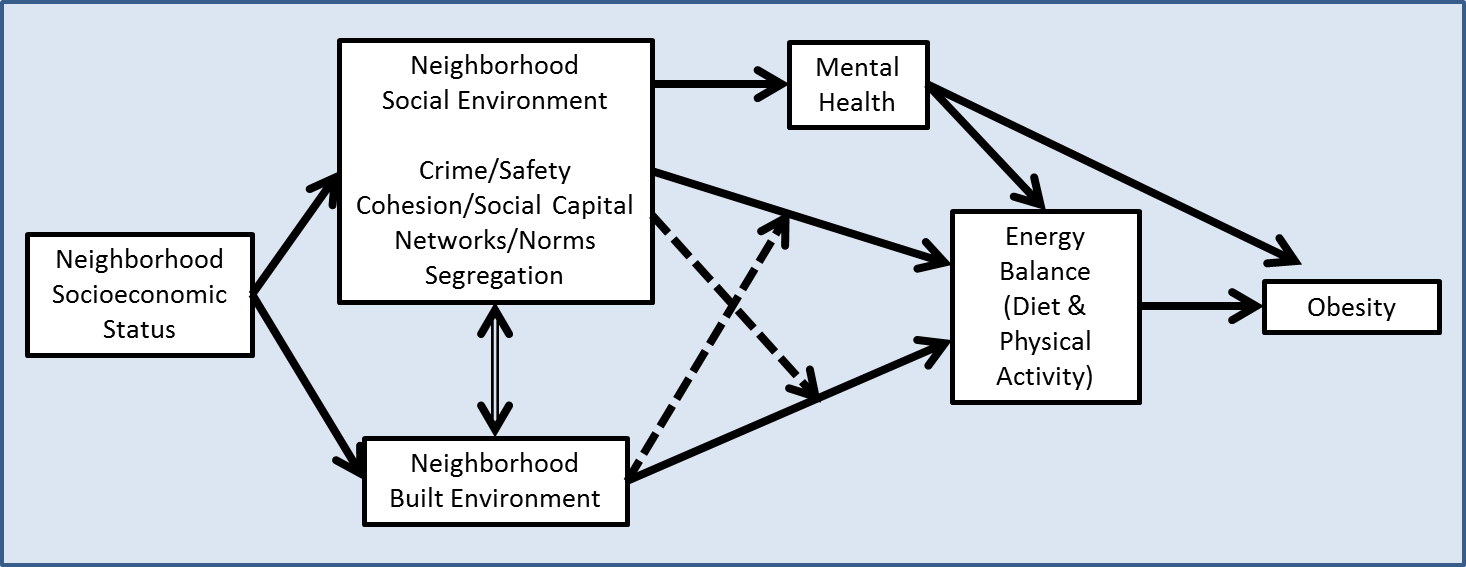 Conceptual model linking neighborhood social environments and obesity risk.
