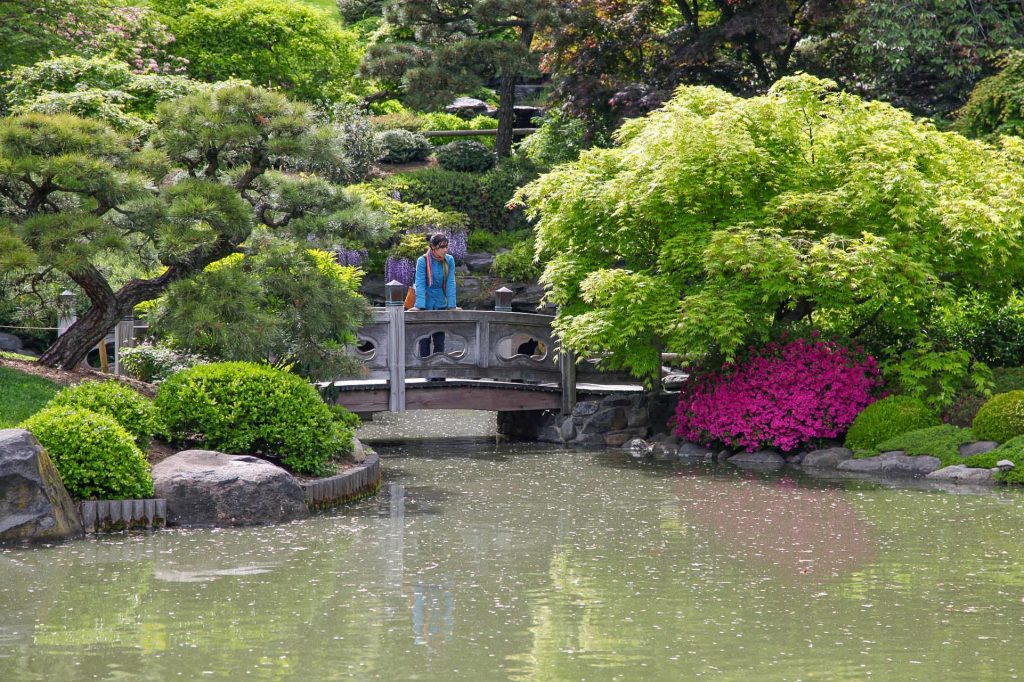 Brooklyn Botanical Gardens