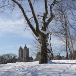 The El Dorado and Central Park