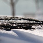 Melt on Ward's Island