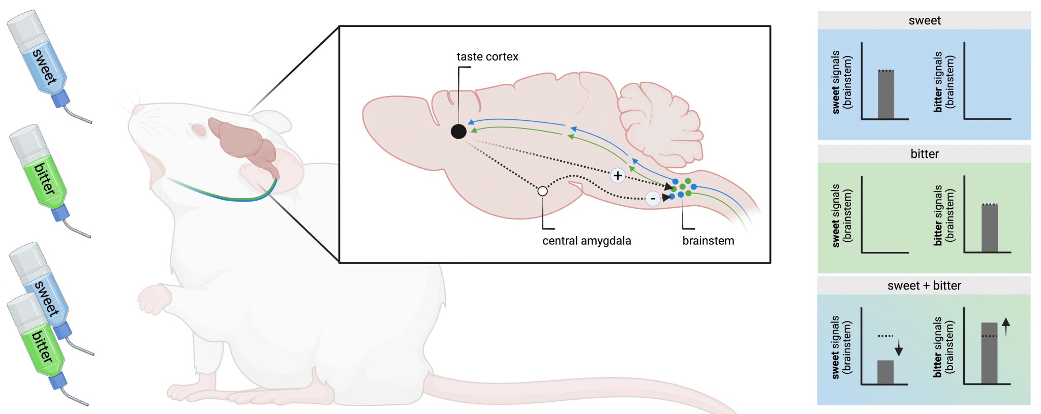 The Bitter Sweet Symphony – Columbia University Postdoc Society Blog