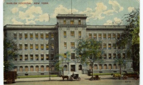 nypl.digitalcollections.510d47e2-8cab-a3d9-e040-e00a18064a99.001.w-590x388